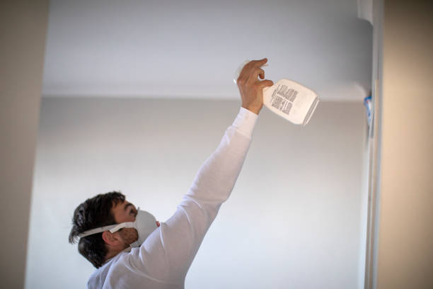 Mold Removal and Inspection in Hollandale, MS