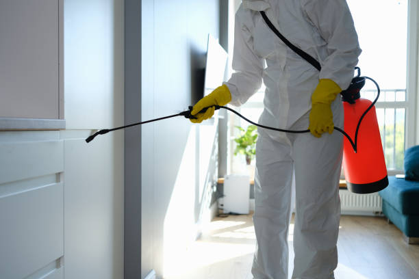 Best Office Mold Removal Services  in Hollandale, MS