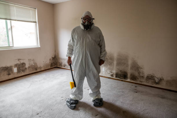 Best Crawl Space Mold Removal  in Hollandale, MS